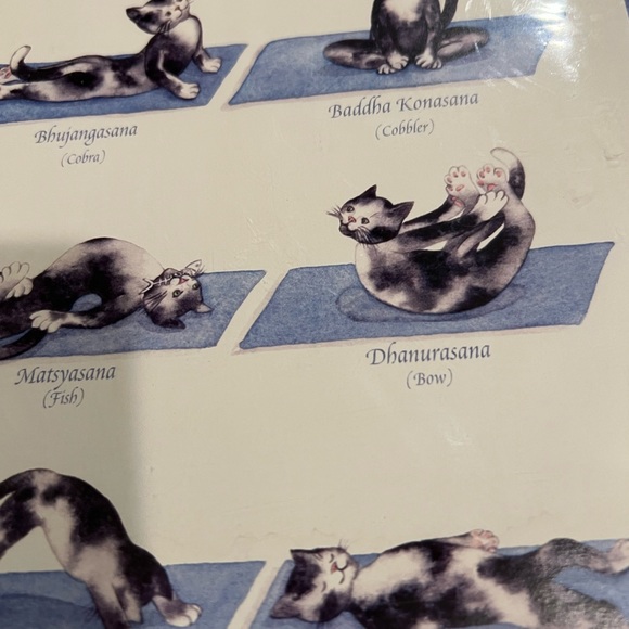 🐱 Yoga Kitty print with 9 yoga poses - Picture 6 of 10